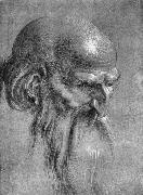 Albrecht Durer Head of an Apostle Looking Downward painting